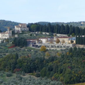 Escursione al Castello di Nipozzano con pranzo e degustazione di gin al Podere Castellare