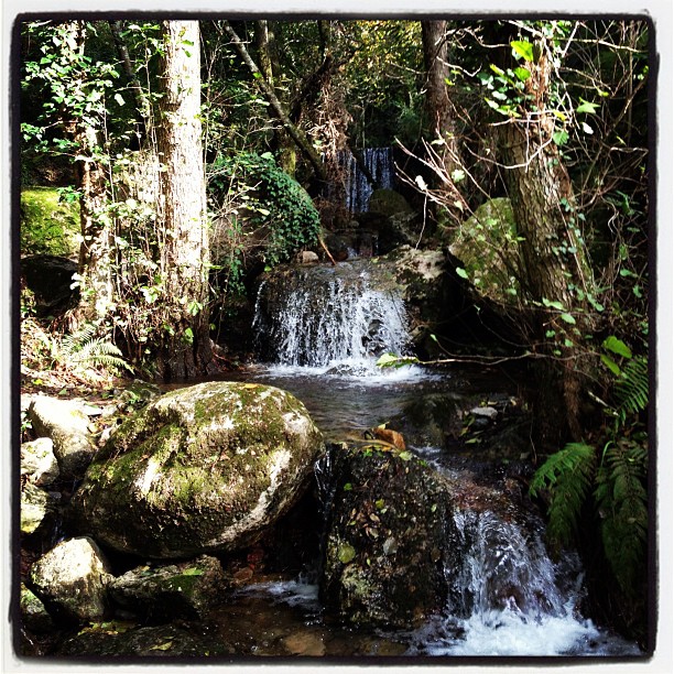 Escursione Valle delle Fonti torrente zambra - vadoevedo - escursione trekking toscana tuscany