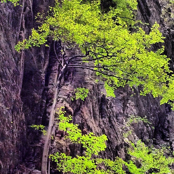 Martedì 20 giugno escursione all'Orrido di Botri il canyon della Toscana