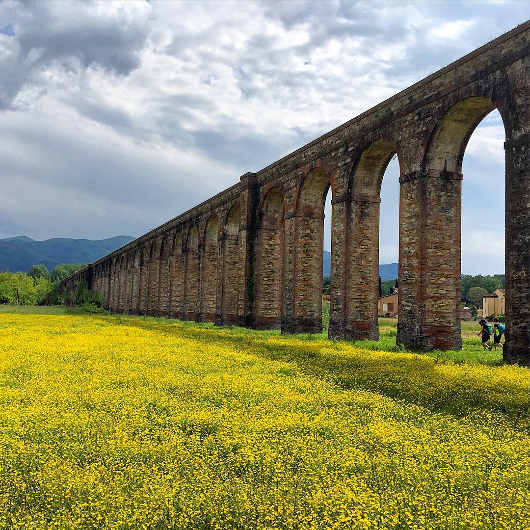 La Via degli Acquedotti. Un viaggio a piedi da Lucca a Pisa