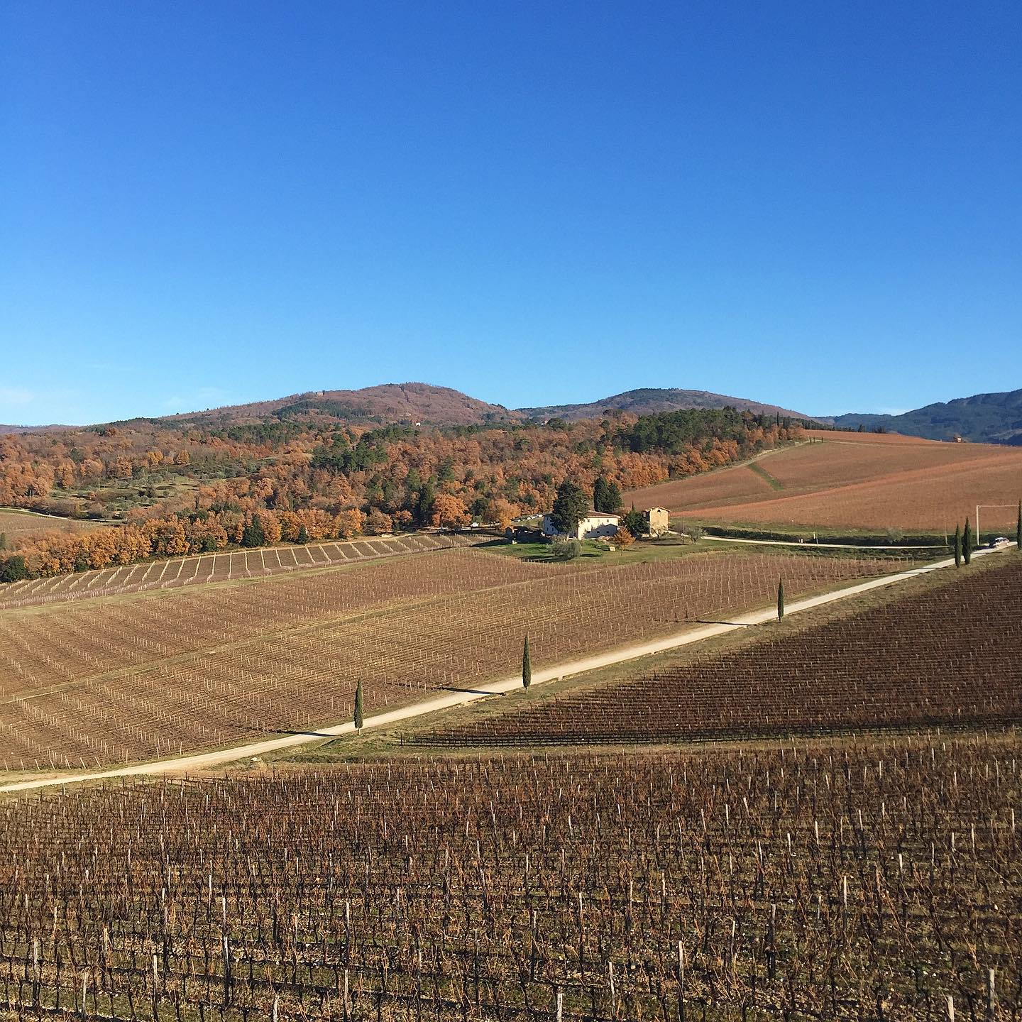 Escursione di Capodanno alla Tenuta di Nipozzano con brunch al Podere Castellare