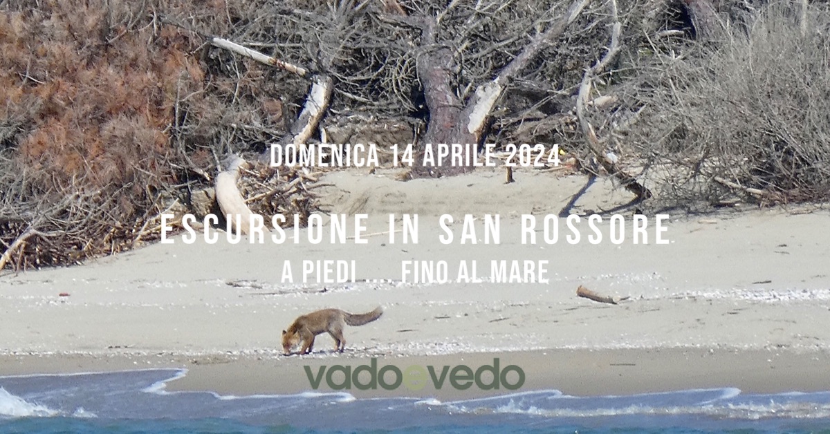 Escursione nella Tenuta di San Rossore ... fino al mare