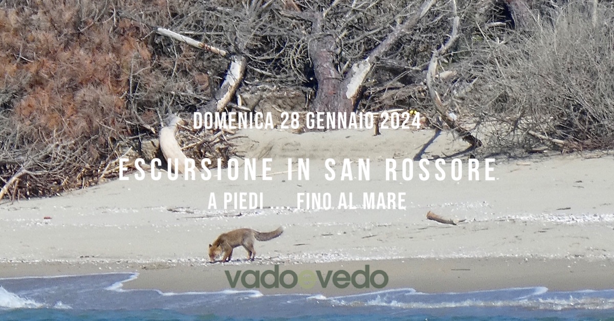 Escursione nella Tenuta di San Rossore ... fino al mare