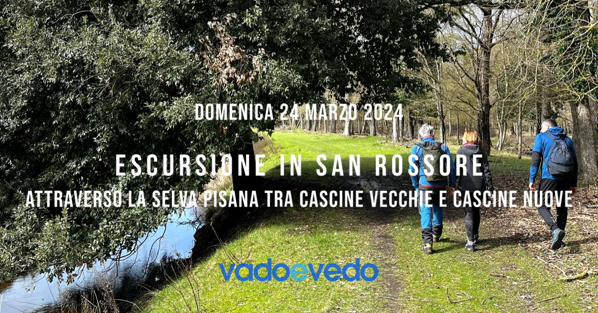 Escursione in San Rossore attraverso la Selva Pisana tra Cascine Vecchie e Cascine Nuove