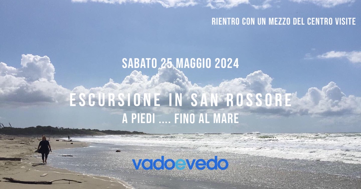 Escursione nella Tenuta di San Rossore ... fino al mare (rientro con un mezzo del Centro Visite)