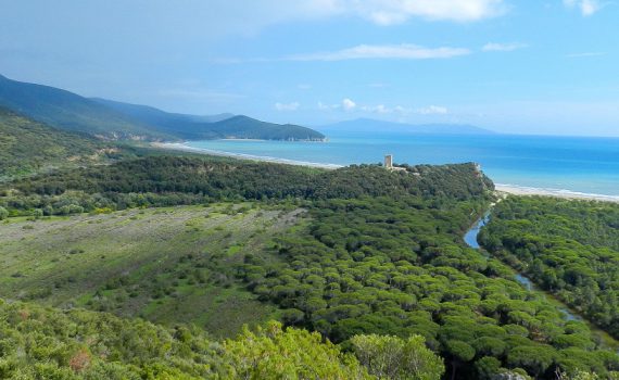 Panorama dell'Uccellina nel Parco della Maremma.