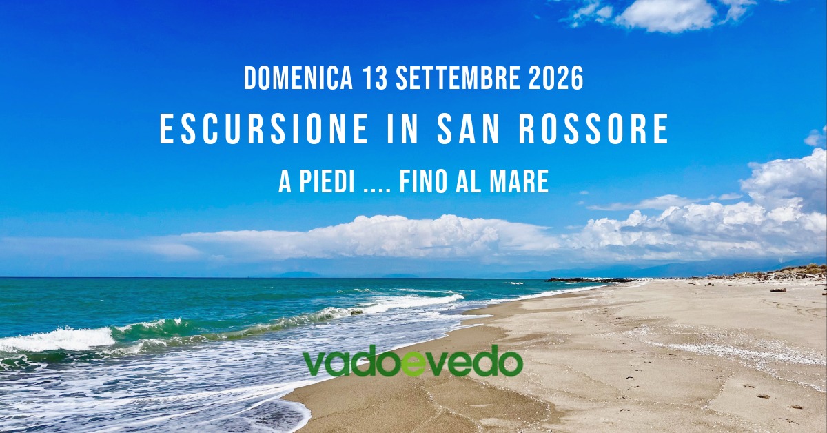 Escursione nella Tenuta di San Rossore ... fino al mare