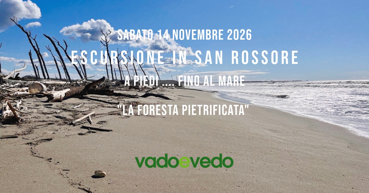Escursione nella Tenuta di San Rossore ... fino al mare
