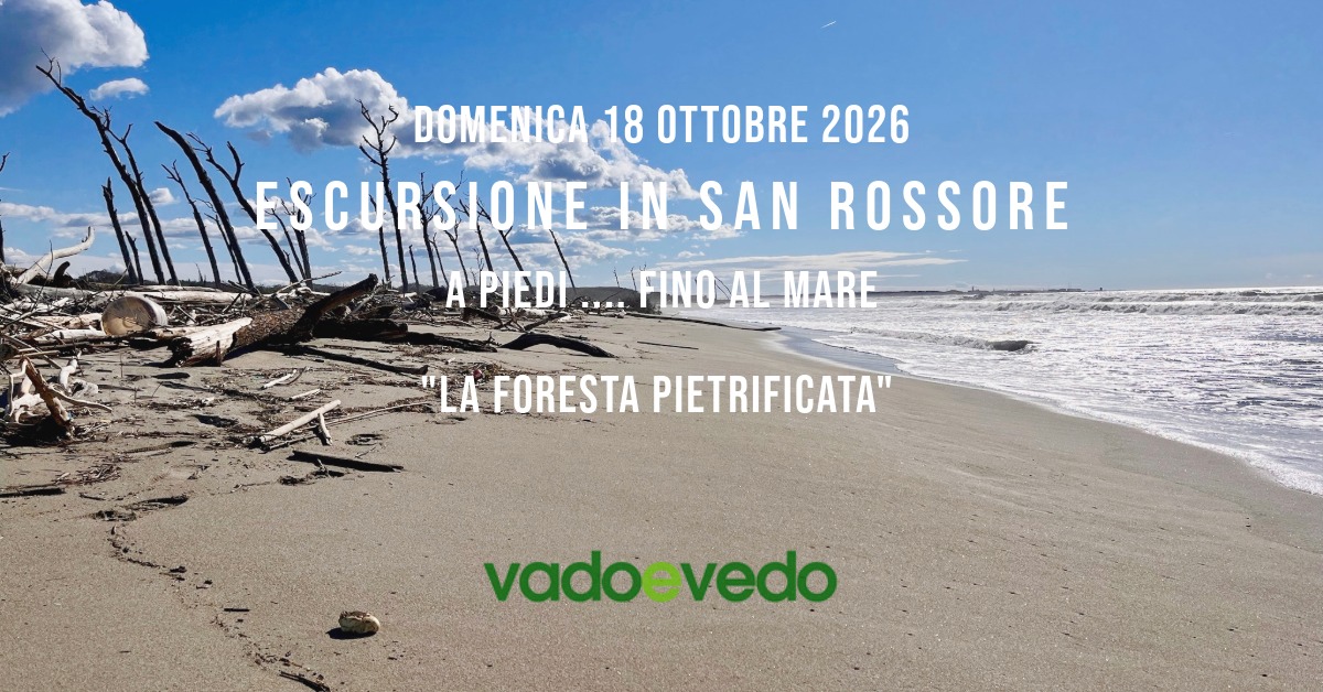 Escursione nella Tenuta di San Rossore ... fino al mare