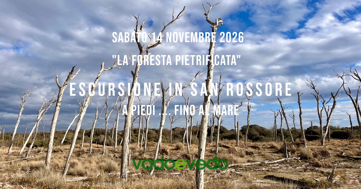 Escursione nella Tenuta di San Rossore ... fino al mare