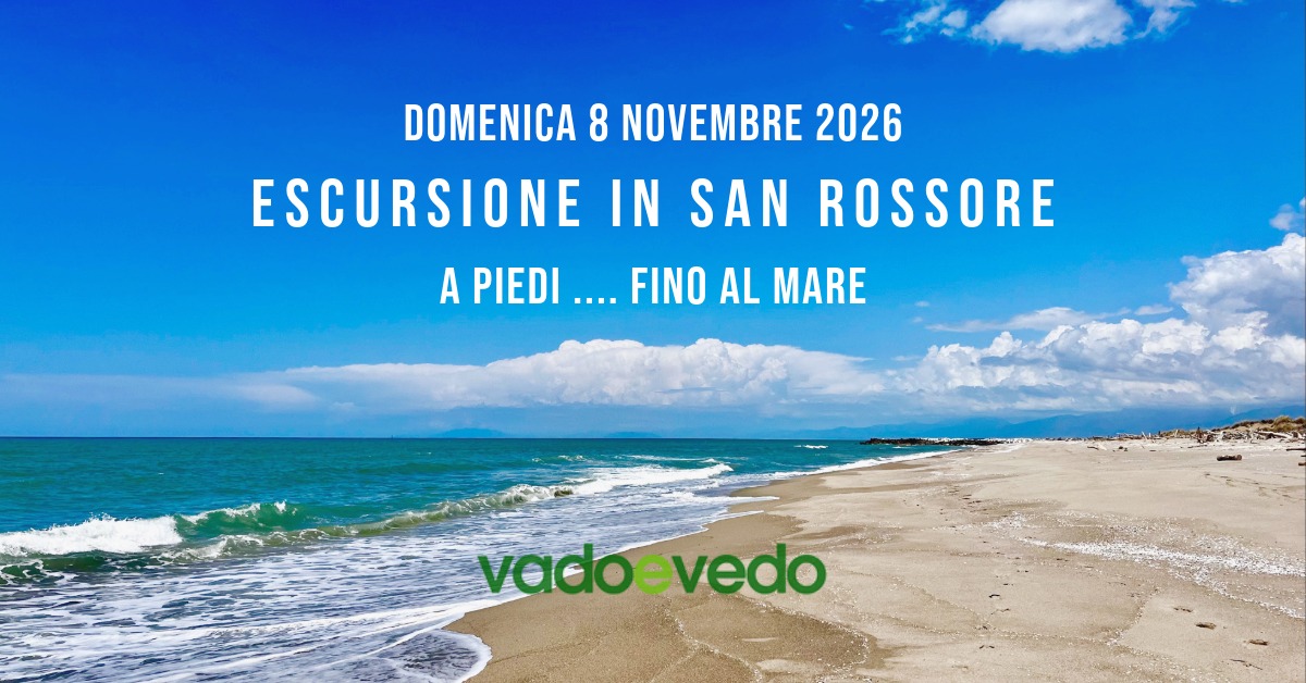 Escursione nella Tenuta di San Rossore ... fino al mare