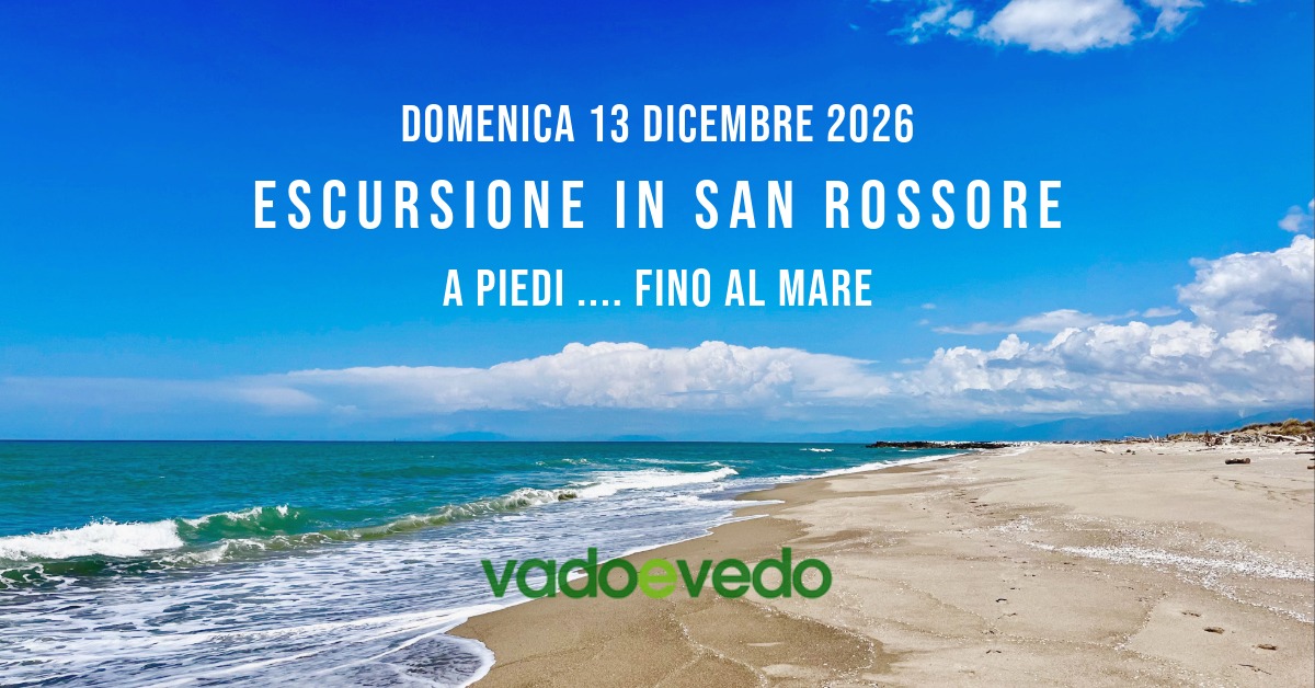 Escursione nella Tenuta di San Rossore ... fino al mare
