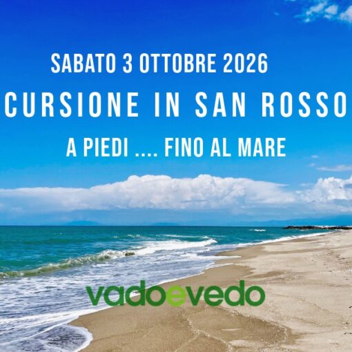 Spiaggia del Gombo nel Parco di San Rossore deserta e selvaggia con cielo azzurro e nuvole bianche. tour guidato zona rossa