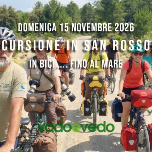 Un gruppo di cicloturisti durante un'escursione guidata con Vado e Vedo nei pressi della foce del Fiume Morto Nuovo nel Parco di San Rossore.