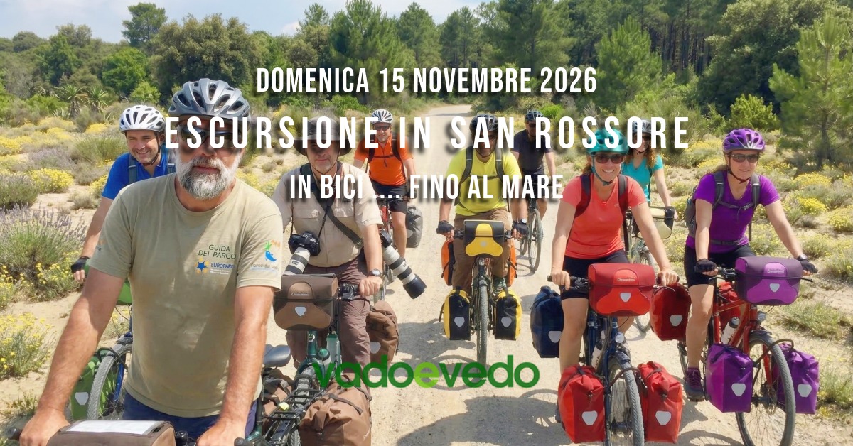 Escursione in bici nella Tenuta di San Rossore... fino al mare